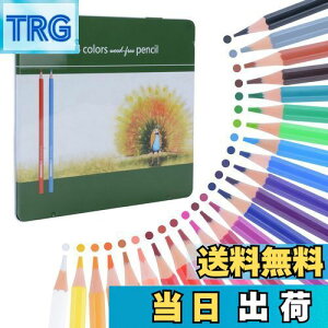 yzFM Ninonly FM 24F l̓hG  f` ? fUC vp |p w qp Ewj [ v[g ʐFFMZbg