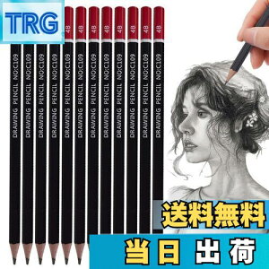 【送料無料】PAVIKE 書き方鉛筆 4b 書きやすい 12本セット 太芯 硬筆書写用かきかた鉛筆 デッサン用鉛筆丈夫で芯が折れにくい 六角軸 絵画 スケッチ 描画 学生や専門家のためのアーティスト鉛