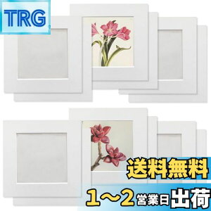 yzHaojiaho y[p[tHgt[ 12Zbg q̊G Wp tHgt[ WTCY8.8*8.8cmyیtB + Ǌ| pSV[g tz  A[gt[ y 