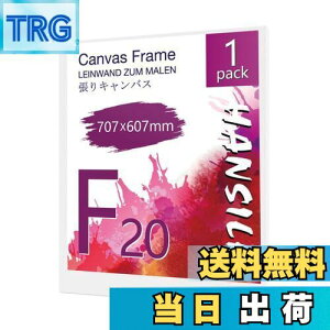 【送料無料】HANSILK キャンバス 張りキャンバス キャンバスボード F20 707mmx607mm 【1枚】油絵 画材 画布 油絵の具 ギャラリー用 油彩・アクリル兼用 化繊綿製 オイル漏れ防止 厚手 中目 子供 初