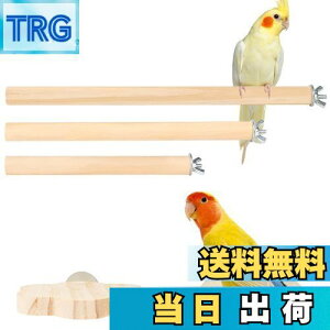 yzIRRVIN 5Zbg p~܂ CR Ƃ܂ X^h CR  p[` CR܂𖁂 ނ xݏꏊ XgX Vѓ P[WX^h tȒP