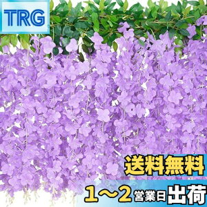 yzLakymisy ̉ 2{  K[h  ӂ̂͂ 10}/{  VN t̏ 뉀 ԗ ̓ ʐ^Be Ǌ| ԏ Xܑp  p[eB[