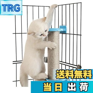 yzSensaBliss L܂Ƃ|[ ܌|[ L ܌ VRTCU L ܂݂ XgX ^s΍ ߂Ƃ ܌ ܂Ƃ XNb`|[ cu^ g