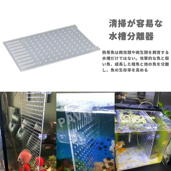 楽天市場】【送料無料】PAVIKE水槽仕切り板 水槽セパレーター 水槽 