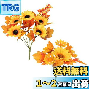 yzyCharming ClubzЂ܂  ԑ nEB H lHϗtA u[P tFCNt[  1{5 2{Zbg n Ӎ EFfBO Cxg b炸 h 