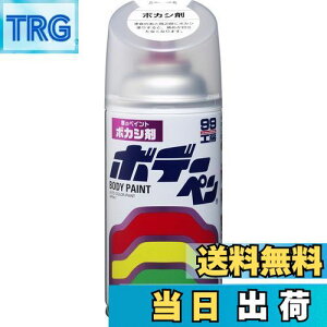 yz\tg99(SOFT99) 99H[ CyCg {f[y {JV 300ml ԃ{fBAop[AA؍ 08004