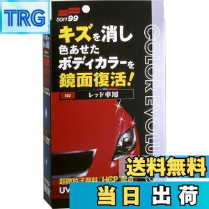 yz\tg99(SOFT99) bNX WAX J[G{[V bh ԓhʂ̃LYAیyщop ی܁Ap@NX2ApX|W 00505