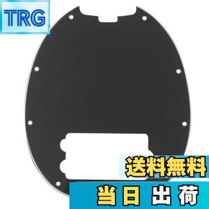 yzMusiclily 9 Musicman Stingray x[Xp sbNK[h A3vCubN