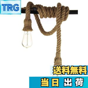 yzZEKOO y_gCg ꃍ[v 2 ݂艺 Ɩ V k IV |V[O g vVF[h E26 LED _Cg AeB[N 胉v 