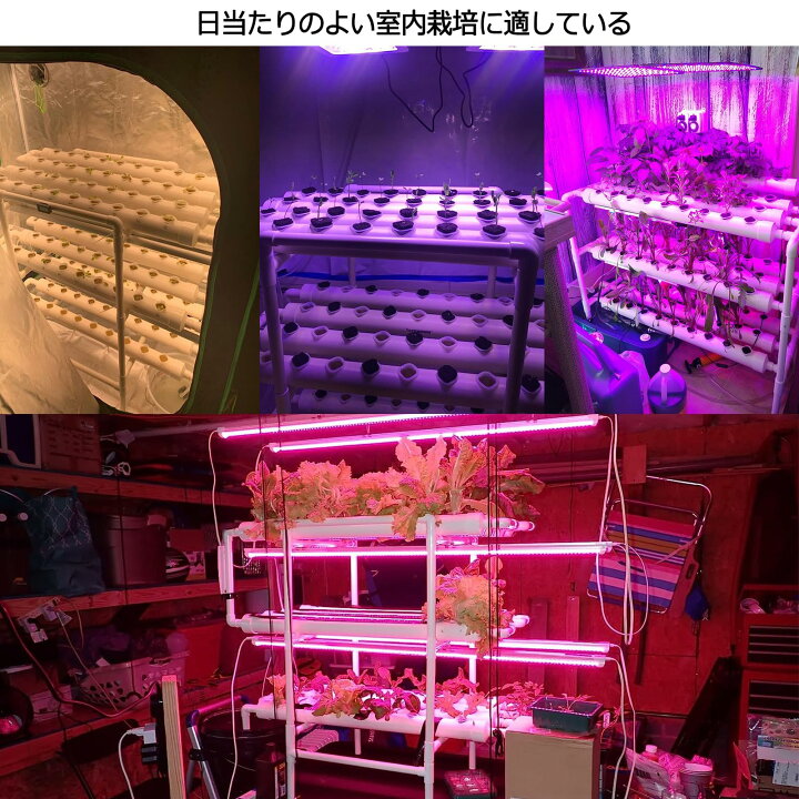 楽天市場】【送料無料】LAPOND 水耕栽培キット 室内水耕栽培 中型水耕 