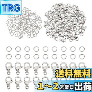 【送料無料】PH PandaHall 約180点/箱 304ステンレス マルカン 丸カン ジャンプリング 丸環 リング カニカン 留め具 クラスプ エンドパーツ 基礎パーツ 金具セット 手芸用品 ジュエリー用 アクセ