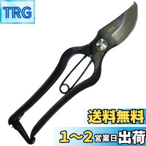 yzߗ^(KONYO) { ł  炩Ȑ؂ƊmȐ؂ꖡ ̂Â̊XuVOsv̏ɂ`Zp 20.5cm