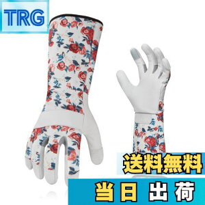 yz[Vgo...] fB[X K[fO[u  rJo[ gQh~ rv| p O  Ɨp (Size L,zCg,GA9658)