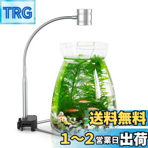 yzEAYHM  CgƐA琬Cg X^h @\ J[ LED ^ANAE Cg