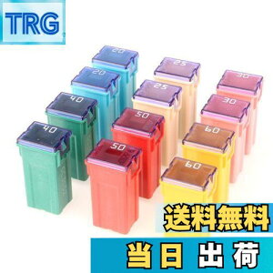 【送料無料】Kiligen 12個 12V-24V トラック、車、SUV用の自動車用トールプロファイルJcaseボックス型各種ヒューズ、ボート(20A/25A/30A/40A/50A/60A、各2個)