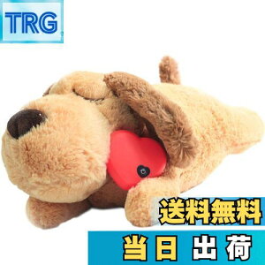 yzDEWU ybgpn[gr[gʂ݁Aqŝ\tgybgg[ʂ݃X[sOofBs⏕sɘa⏕ʂ݃X}[gL