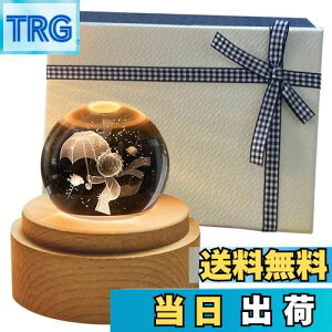 yzTENGEE av[g  lC IS[  CeAG u Cg USB[d e  ObY LO juervKi (̉q(o