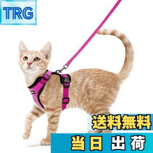 yzRabbitgoo L n[lX [h Zbg Ȃ Lpn[lX \tgy Lp ^ ^ U ЊQ ́[˂ [ グ TCY߉ 锽 ʋC