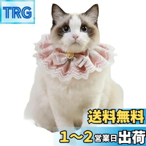 yzTengcong L̎ lR  悾ꂩ     ߉\ y ybgp lN^C 킢 y ^  Lp ybgpi (S, sN)