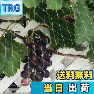 【送料無料】鳥よけネット ベランダ 防鳥ネット 透明色で視界や日差しを遮らない 小型な鳥たちの侵入防止 カラス 鳩 鳥害対策 防鳥網 ブルーベリーや野菜栽培や果樹などの守り鳩避けネッ