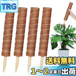 yzYOUSHY440cm|x ϗtAXe x wSx鐫A ϗtA RRXeBbNx AT|[gt[X^h RRibcx Ԏx K[fjOx _