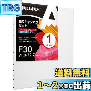 yzAUREUO LoX Zbg F30 (91cmX72.7cm)  S 1 l ̊Gp |pGn G p ʉEGEANpc