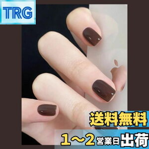yzFuyunohi lC`bv V[g  Z V[glC`bv n  ؍ GKg Ȗ ʃe[vt ȒPɎt 24Zbg DIY ֗ lCpi   