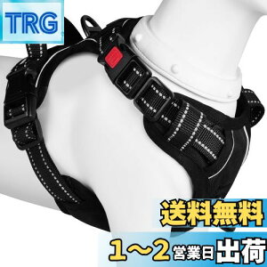 yz[2025ŐV^n[lX]BaoCheng p ^/^/^n[lX p h~ A^}ʂ P݌y TCY\ Ԕˍ Ȃ ʋC ȒP