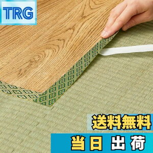 yz(Hagihara) EEȌCpe[v O[ 2m uNo.12v {