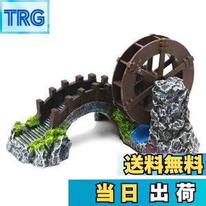 yzCharmoon ANAE ۋ   a B VF^[ A  IuWF