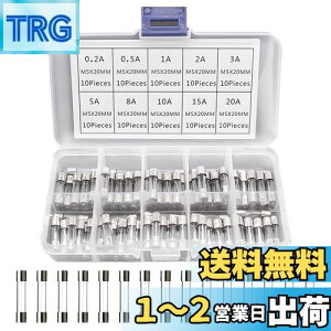 yzFUSHUI KXǃq[Y dݗpq[Y ǃq[YZbg 100Zbg 5*20mm NCbNu[KXǃq[Y zی 0.2/0.5/1/2/3/5/8/10/15/20A e10{