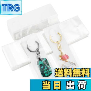 yzPH PandaHall 䎆 uXbg L[z_[p 100 OPPܕt L[O Wp  WJ[h n ANZT[p[c ̔p WG[p nhCh ifBX