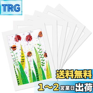 yzHaojiaho Wp tHgt[ 6Zbg A4TCY ypCz q̊G Wp A[gt[ Ǌ|  y  G拳 G W y[p[tHgt[ q