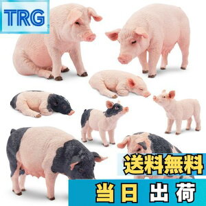 yzTOYMANY 8PCS_ꓮtBMA u^tBMAZbg ؃f eq Aȓ͌^ lC  ߋ av[g NX}X VN 蕨 RNV 6Έȏ