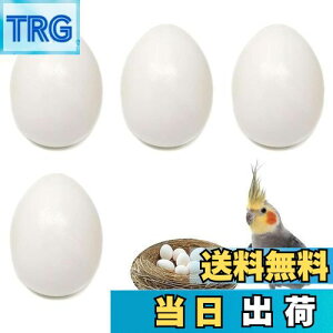 yzPAVIKE U  4Zbg CR tFCN`LGbO bgngɐBpi lHlXg HiTv tFCN_~[GbO IJCR ERCR RUNC