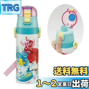 yzXP[^[(Skater) qp XeX   470ml fBYj[ AG 24 qɗDyʃ^Cv ۗp waterbottle X|[c{g 킢 LbY q ǂ r SDC4-
