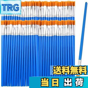 yzDFsucces M GM 50{Zbg 16.5cm ޕM ʕM vf h ʉ G AN yCg