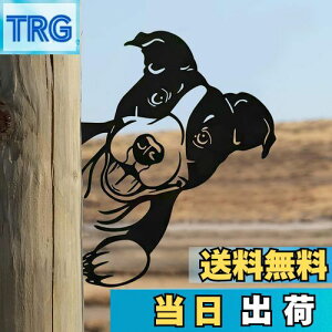 yzMrMrKura  K[f  v[g  K[fjOG O K[fu K[fI[ig S `hbO  K[fIuWF  z[ |pi 