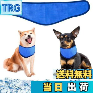 yzpN[o_i N[lbN p⊴O ybgpp pN[XJ[t p^I ybgp⊴ pXJ[t {[_[ ΍ObY ₷ 