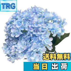 yzhimsyuden AWTC z  5 VNt[   A[gt[ DIYԍ Be lH Mtg j ԑ ItBX iX  CeA