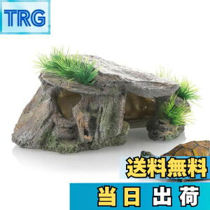 yzESJNNK  VF^[ B  A  ঒ Mы ঒ T C ~K qQ gJQ wrȂ ޗp Ҕp I[ig  p  wp