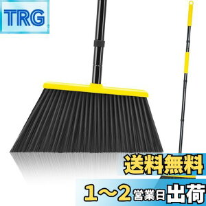 yzJEHONNقS140cm 䕝36cm [ɕ֗ | ⴉO   z[ VbvœK F