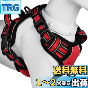 yz[2025ŐV^n[lX]BaoCheng p ^/^/^n[lX p h~ A^}ʂ P݌y TCY\ Ԕˍ Ȃ ʋC ȒP