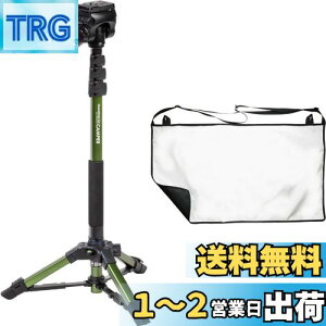 yzSLIK r X^h|bhGX camper J/X}zΉ ȈՃvWFN^[XN[t ȃXy[X݌v I[u 246528