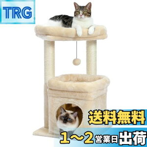 yzPAWZ Road Lbg^[ ~j L^[ ^ Ⴂ  u lC ܂Ƃ|[ ܌ R L̂ RpNg ȃXy[X  S LnEX W] - 68cm x[W
