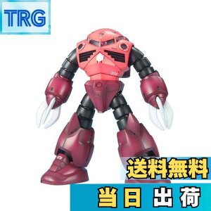 yzBANDAI SPIRITS(o_C Xsbc) MG @mK_ MSM-07S VApYSbN 1/100XP[ Fς݃vf