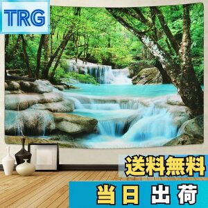 yzPknoclan X^yXg[ kǊ|^yXg[ X̃JXP[h^yXg[ Riz|X^[  X̑ 235x180cm唻Ǌ|z   ͗lւ CeA