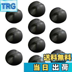 yzF-FACTORY R[hNbv P[uNbv ʃe[vt  ubN 10 FNT-CLP28BK-10P