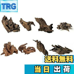 yz8 كVN R GCuؐ̑ i 8`10cmj