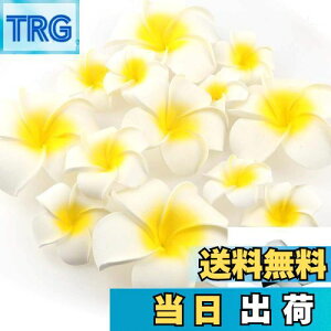 yzYesallwas wA Nbv s vA  7cm 20Zbg Ԃ̂  wA Nbv s vA   DIY  p[eB[p t ʐ^Be